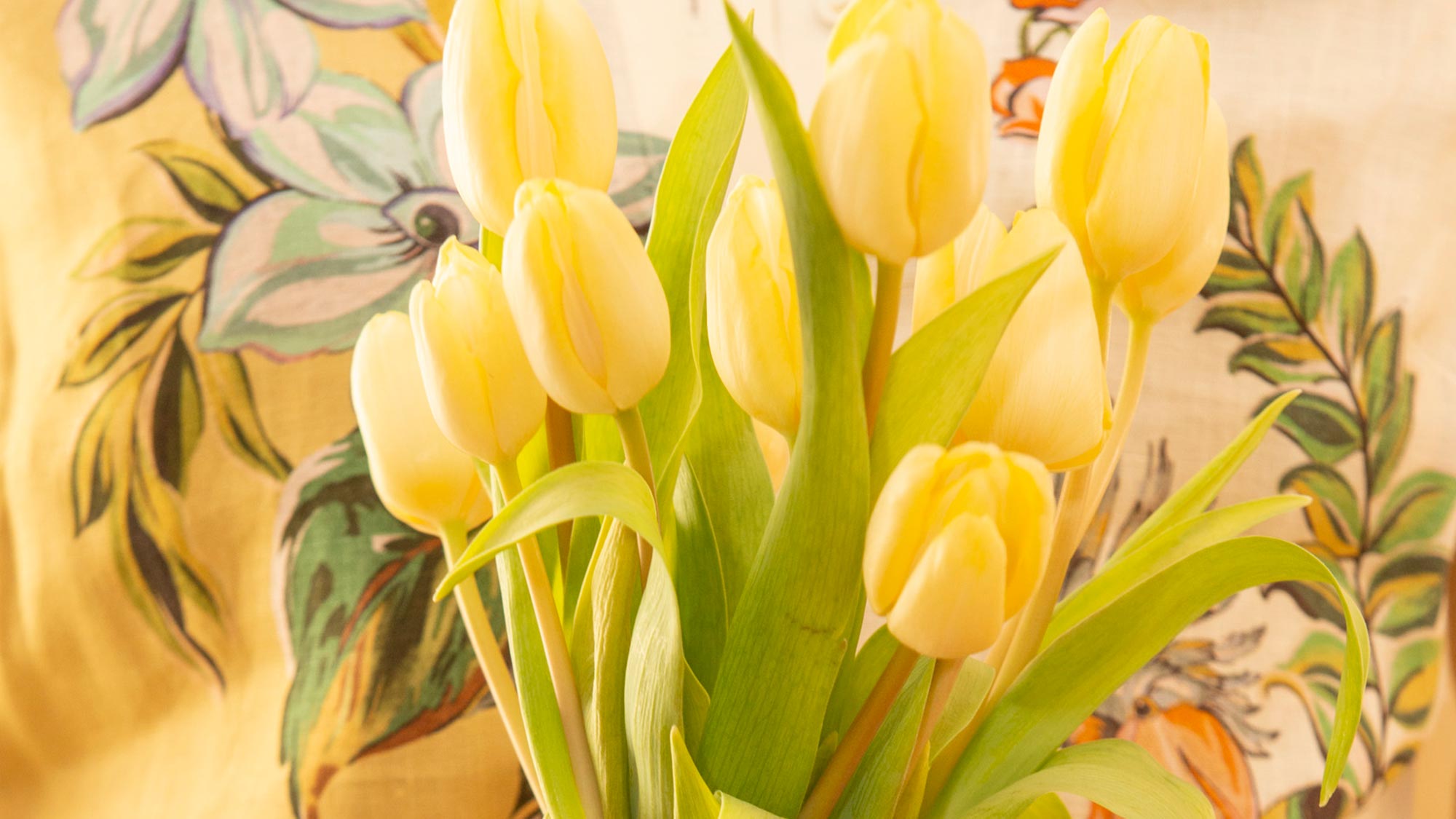 Yellow Tulips Mother's Day gifts jewelry