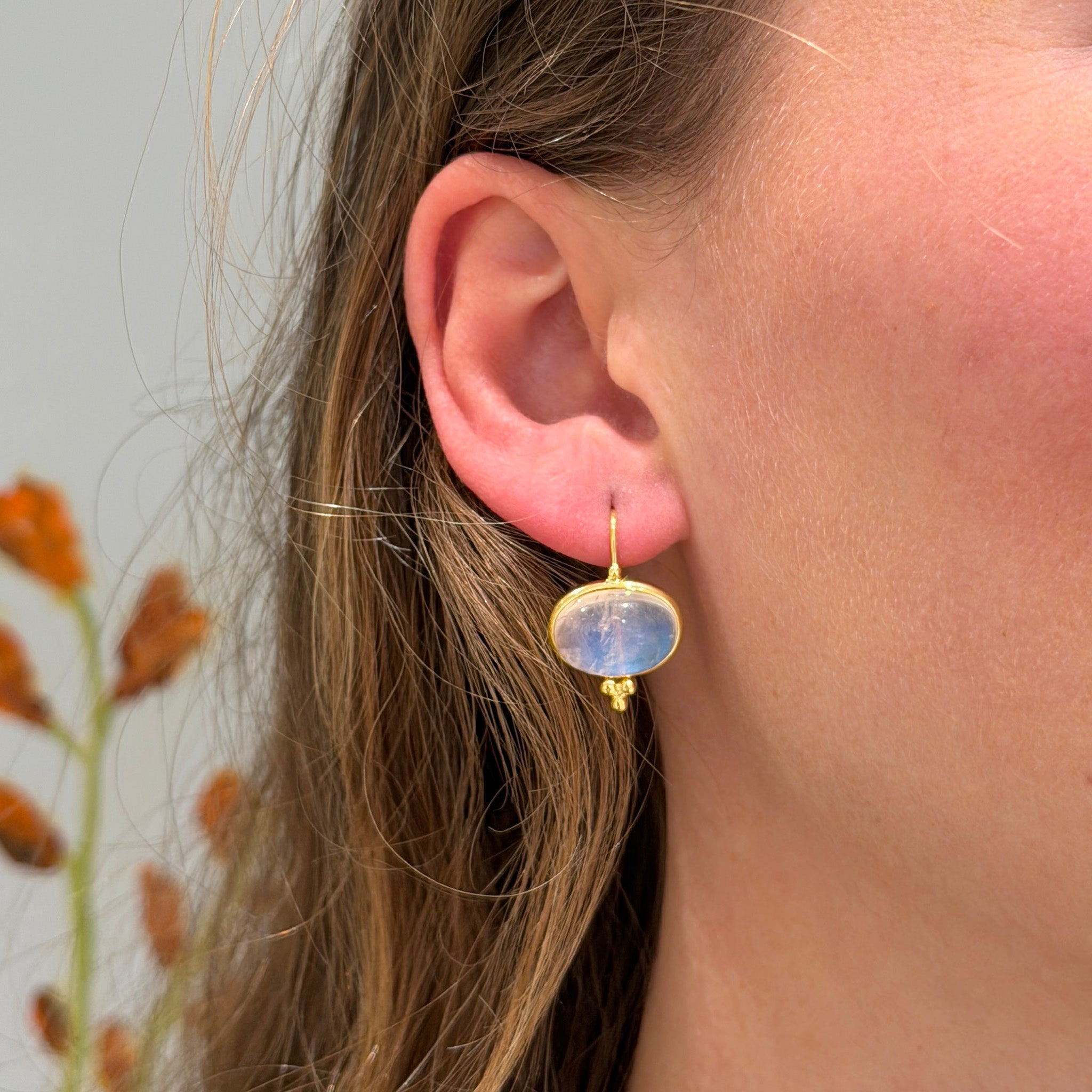 Mazza Moonstone 14K Yellow Gold Capri Earrings