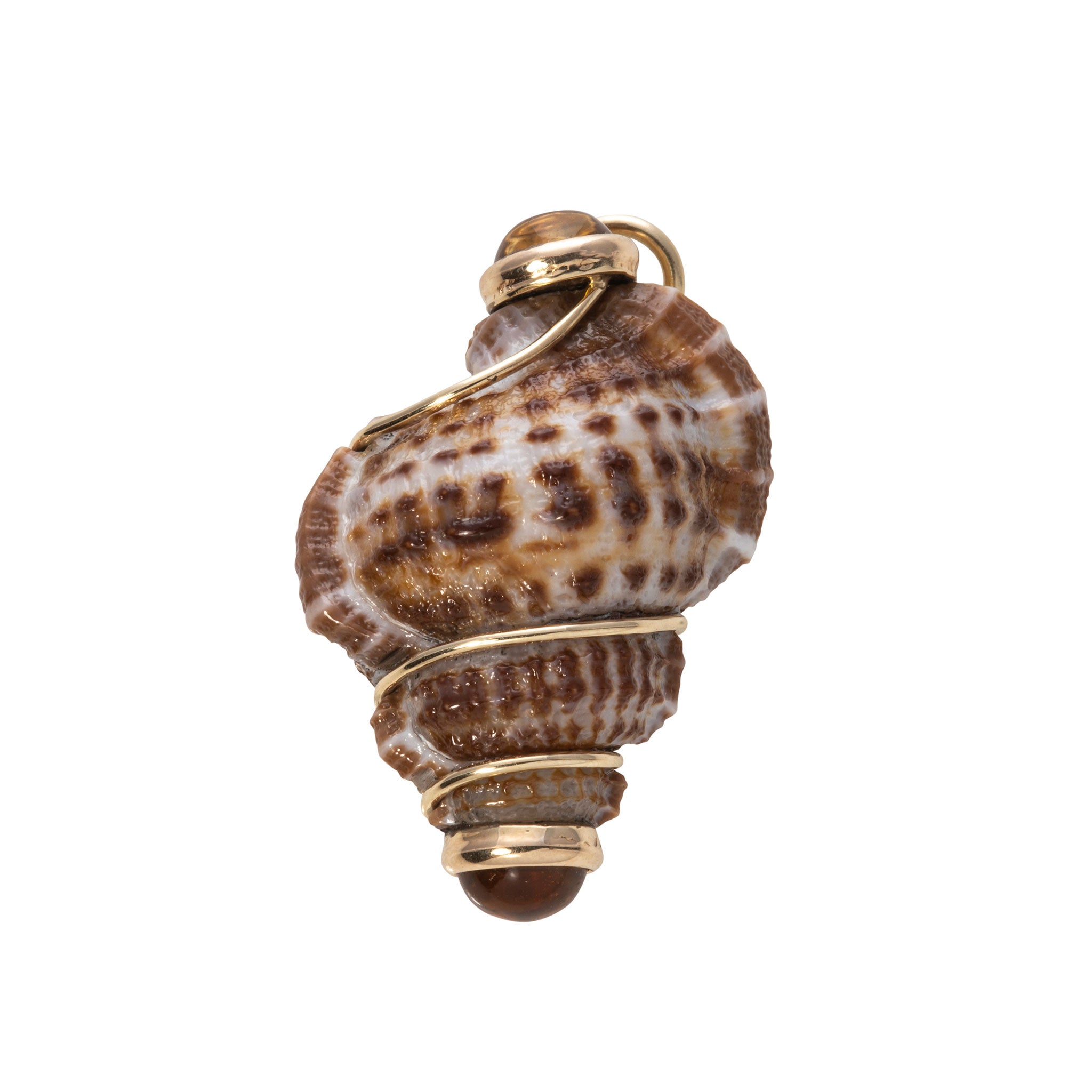 Mazza Brown Shell & Citrine 14K Yellow Gold Pendant