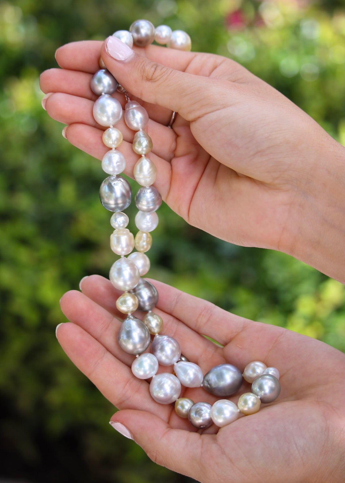 Multicolor South Sea Semi Baroque Pearl 14K Gold Ball Clasp Necklace 19.5"
