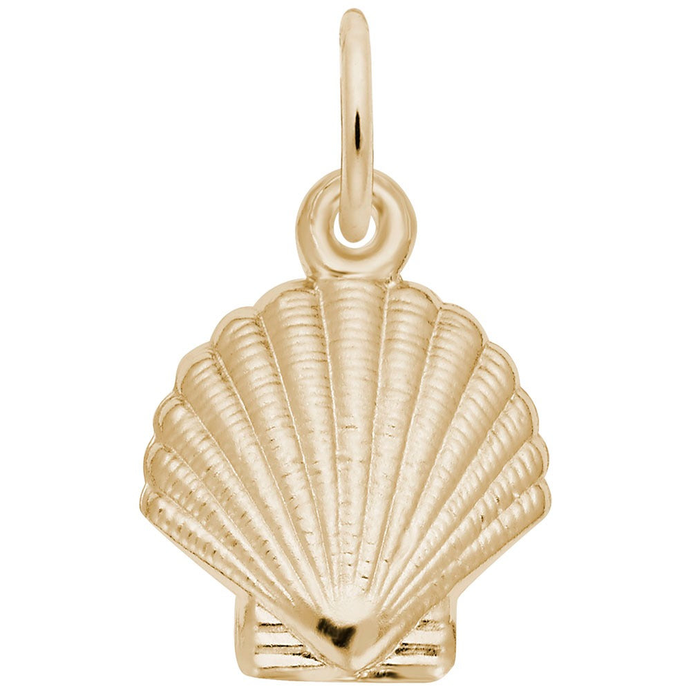 14K Yellow Gold Clamshell Charm