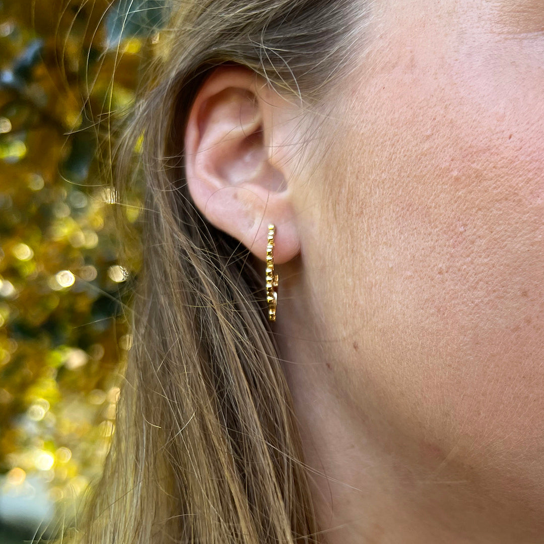 Goldbug Frame Hoop Earrings
