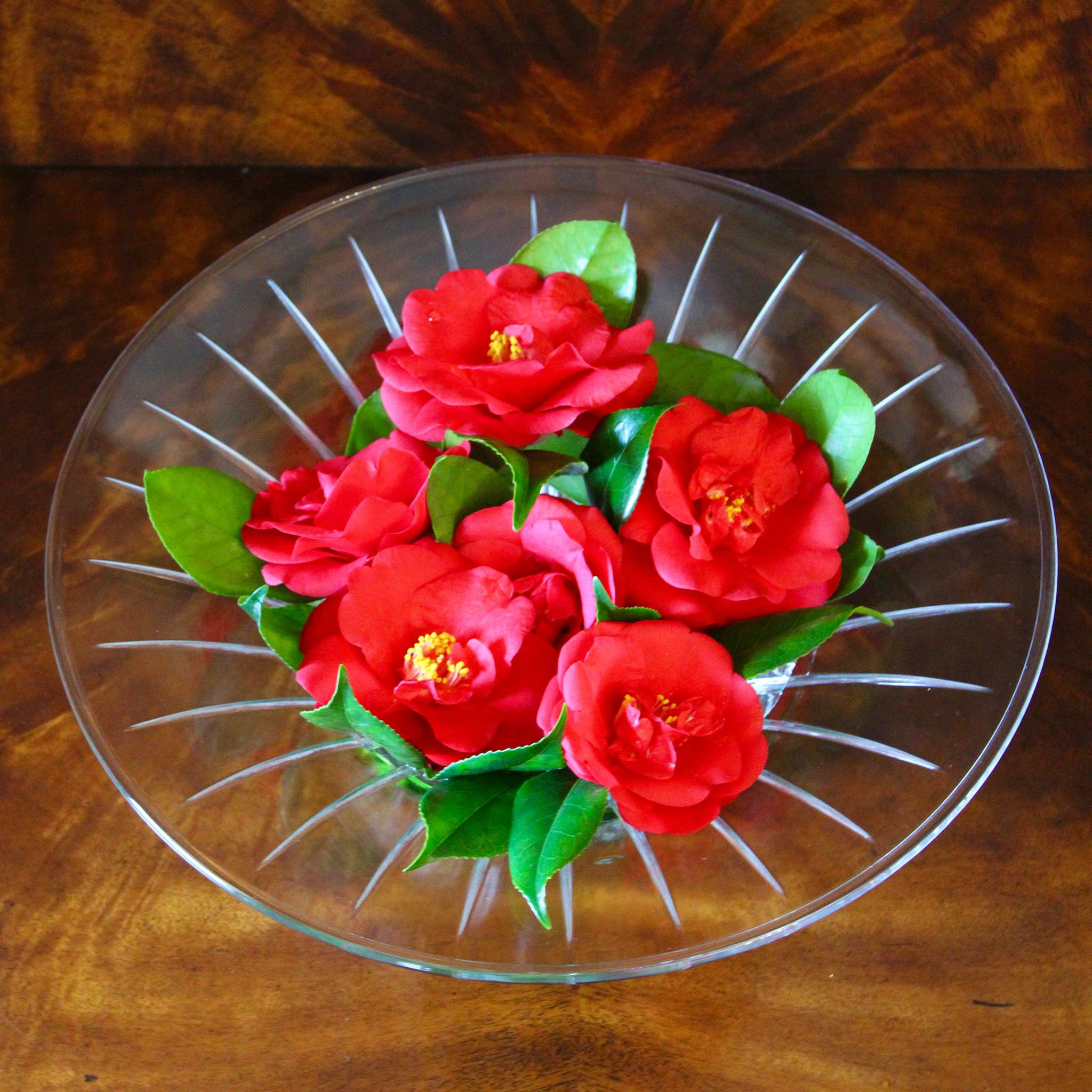 Charleston Camellia Bowl