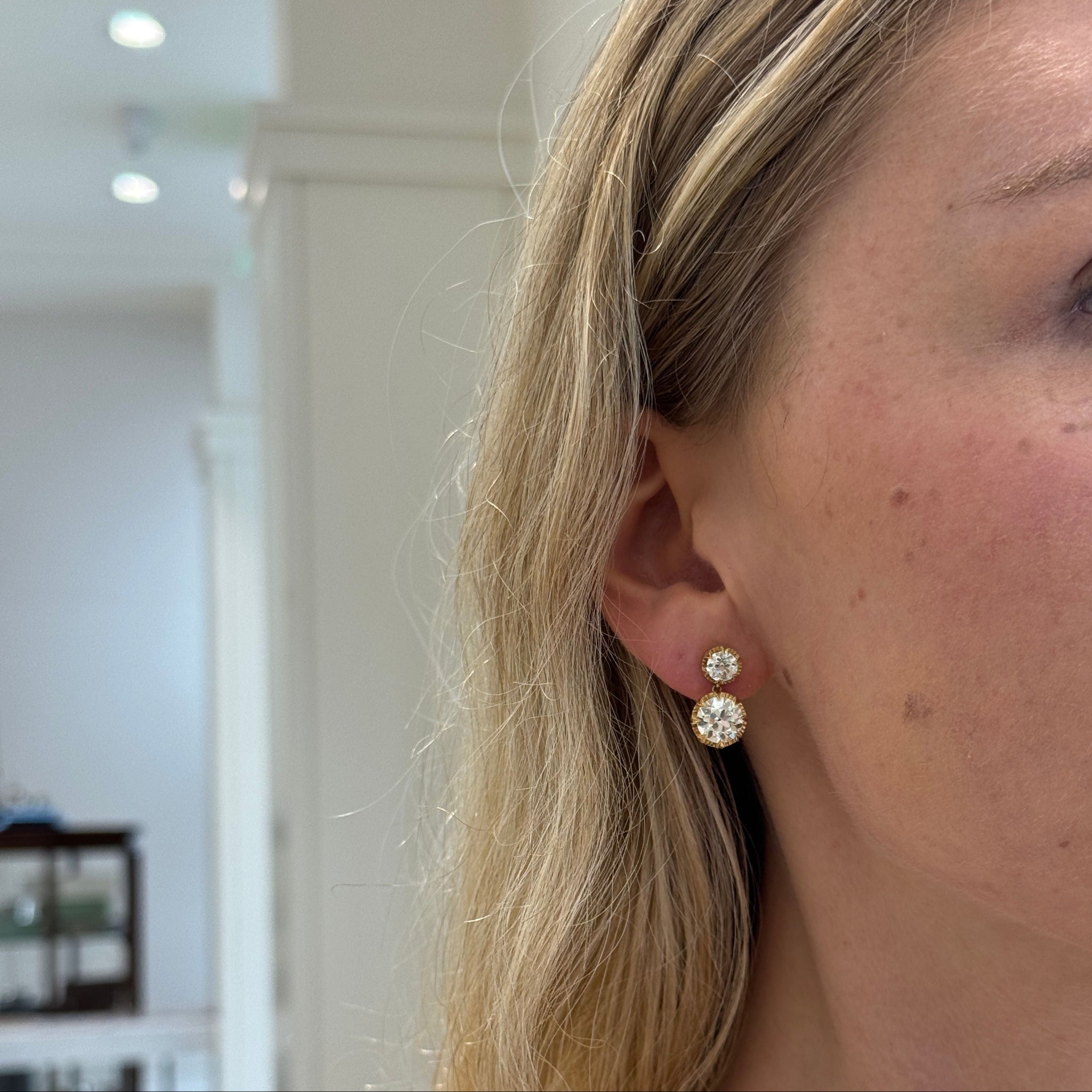 Single Stone Arielle Double Drop Earrings