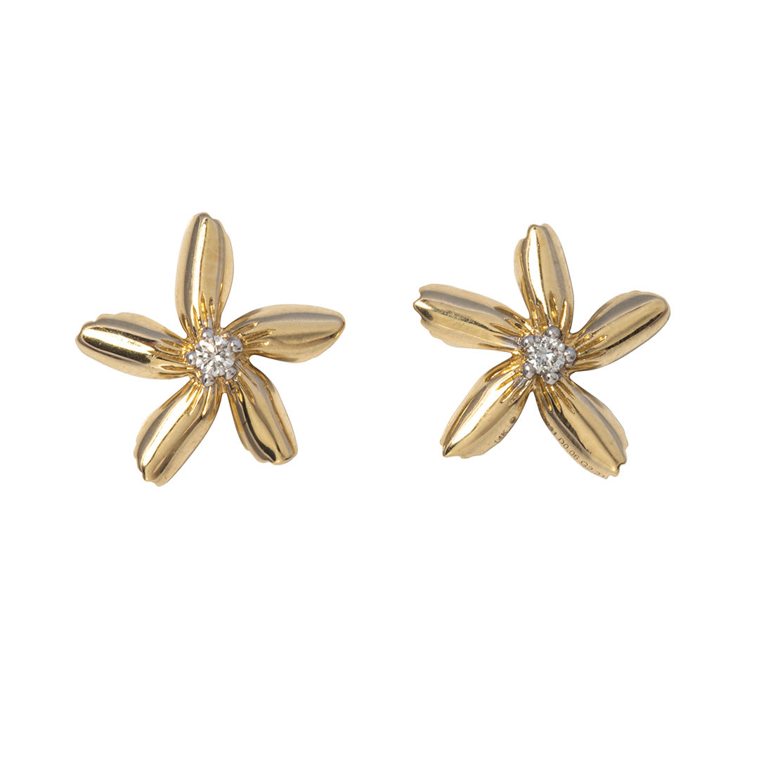 Diamond 14K Yellow Gold Star Jasmine Stud Earrings