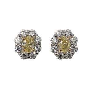 Oval Yellow Diamond Cluster Two Tone 18K Gold Earrings
