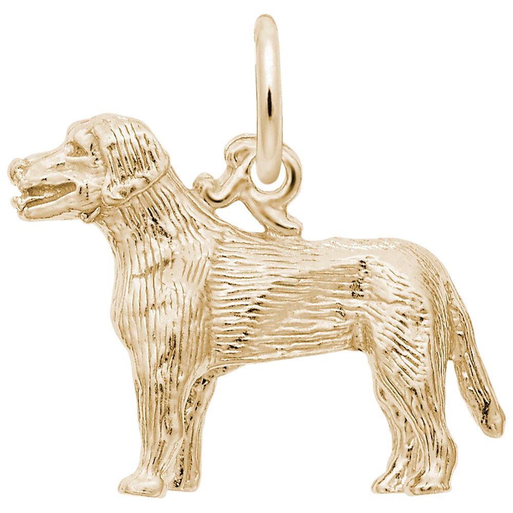 14K Yellow Gold Labrador Retriever Dog Charm