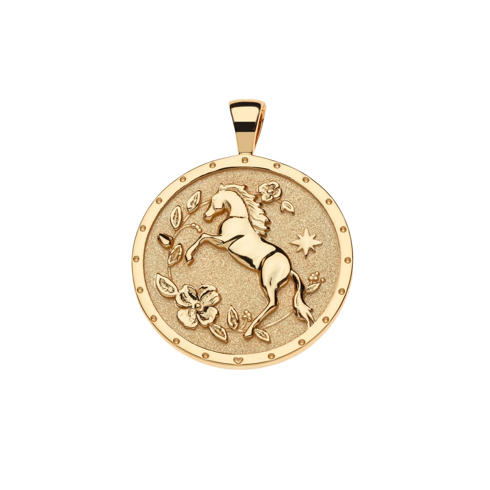 Jane Win COURAGE Year of the Horse Coin Pendant Necklace