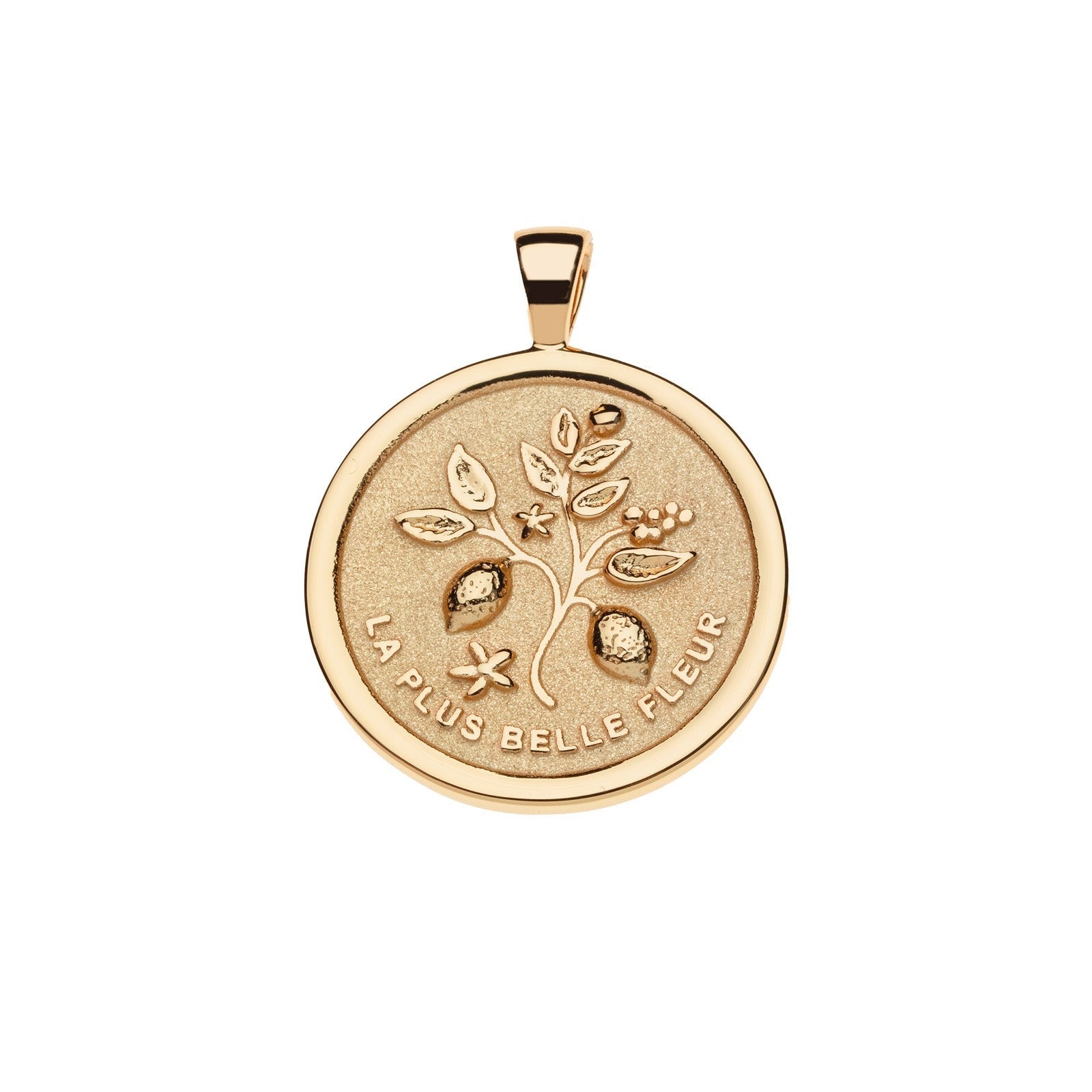 Jane Win GRATITUDE Original Coin Pendant Necklace