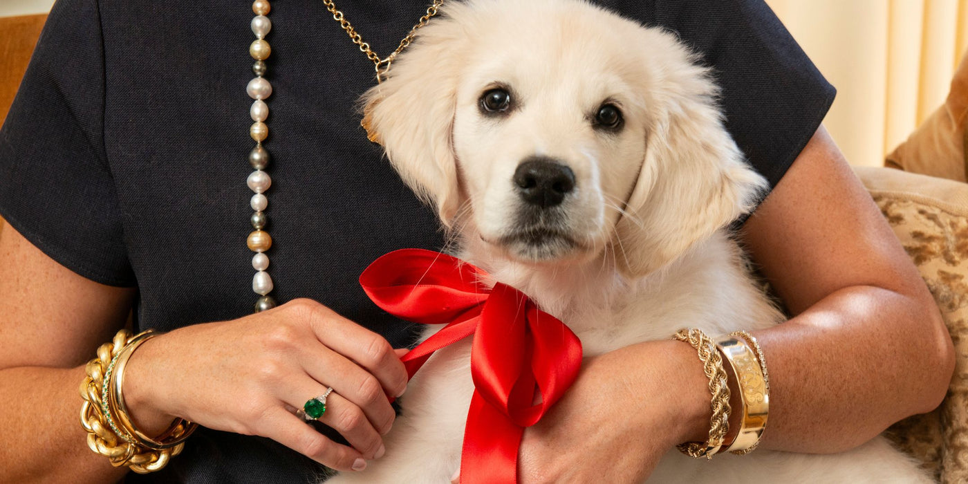 a dog with a red bow